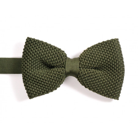 Noeud papillon vert convoité