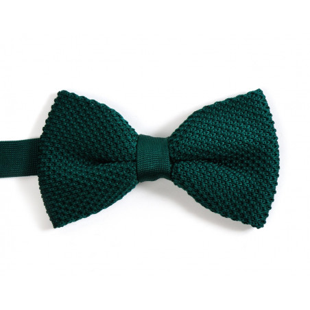 Nœud papillon vert scarabée